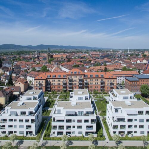 Hausmeisterservice-neustadt-6